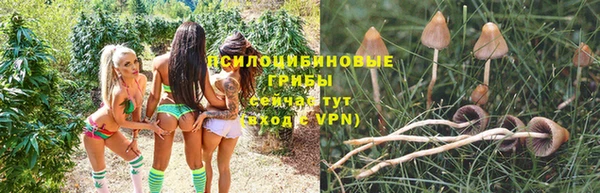ALPHA PVP Богданович