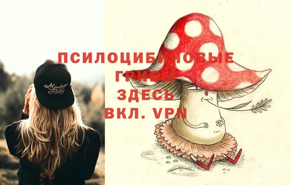 герыч Богородицк