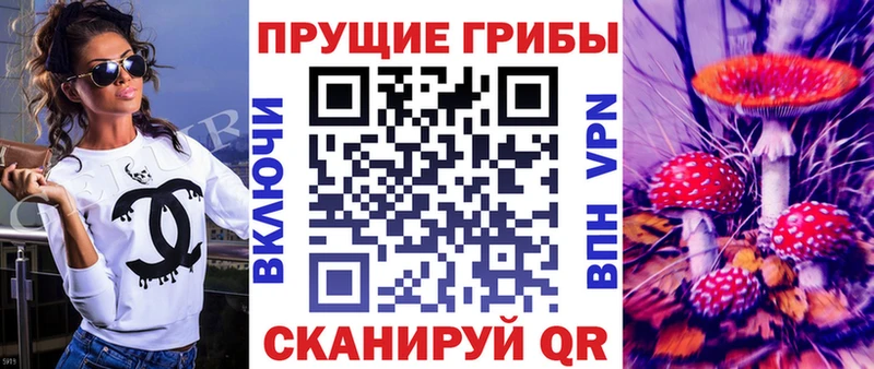 Галлюциногенные грибы GOLDEN TEACHER  продажа наркотиков  блэк спрут сайт  Южно-Сухокумск 